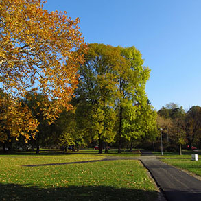 Concierge Belgrade | Topčiderski park