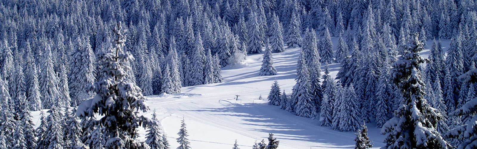 Concierge Belgrade | National park Kopaonik