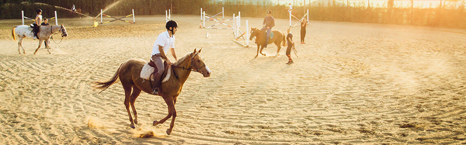 Concierge Belgrade | Horse riding