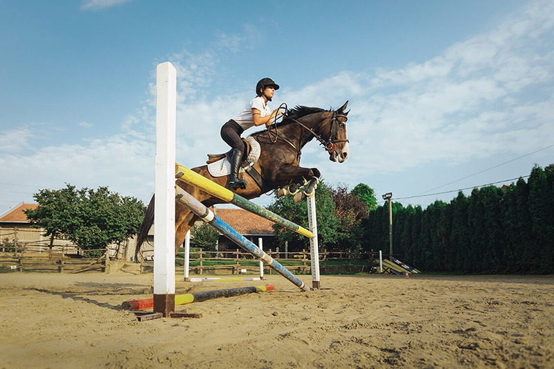 Concierge Belgrade | Horse riding